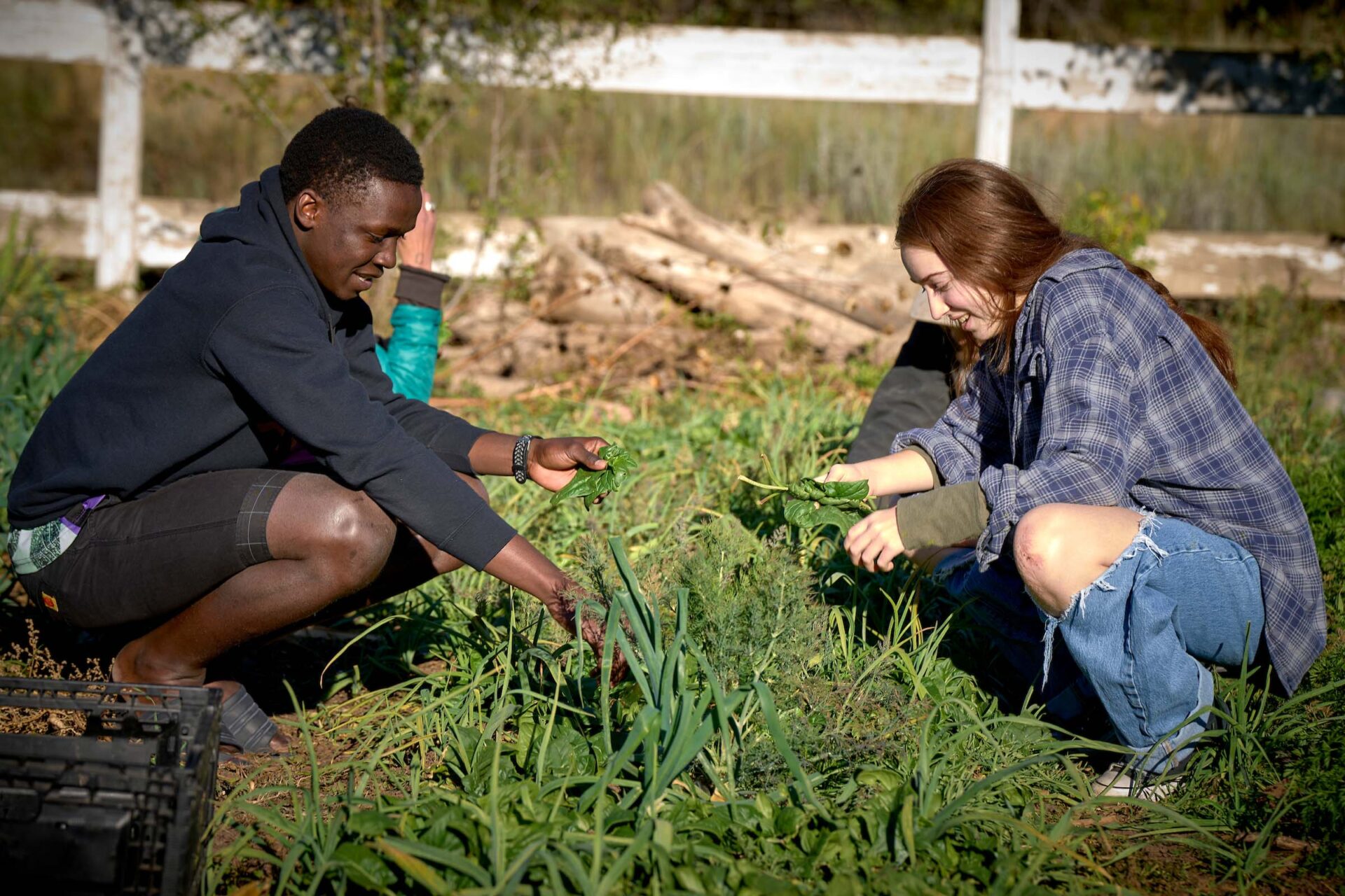 Students collaborate in a vibrant garden, fostering sustainability and global community through hands-on learning outdoors.