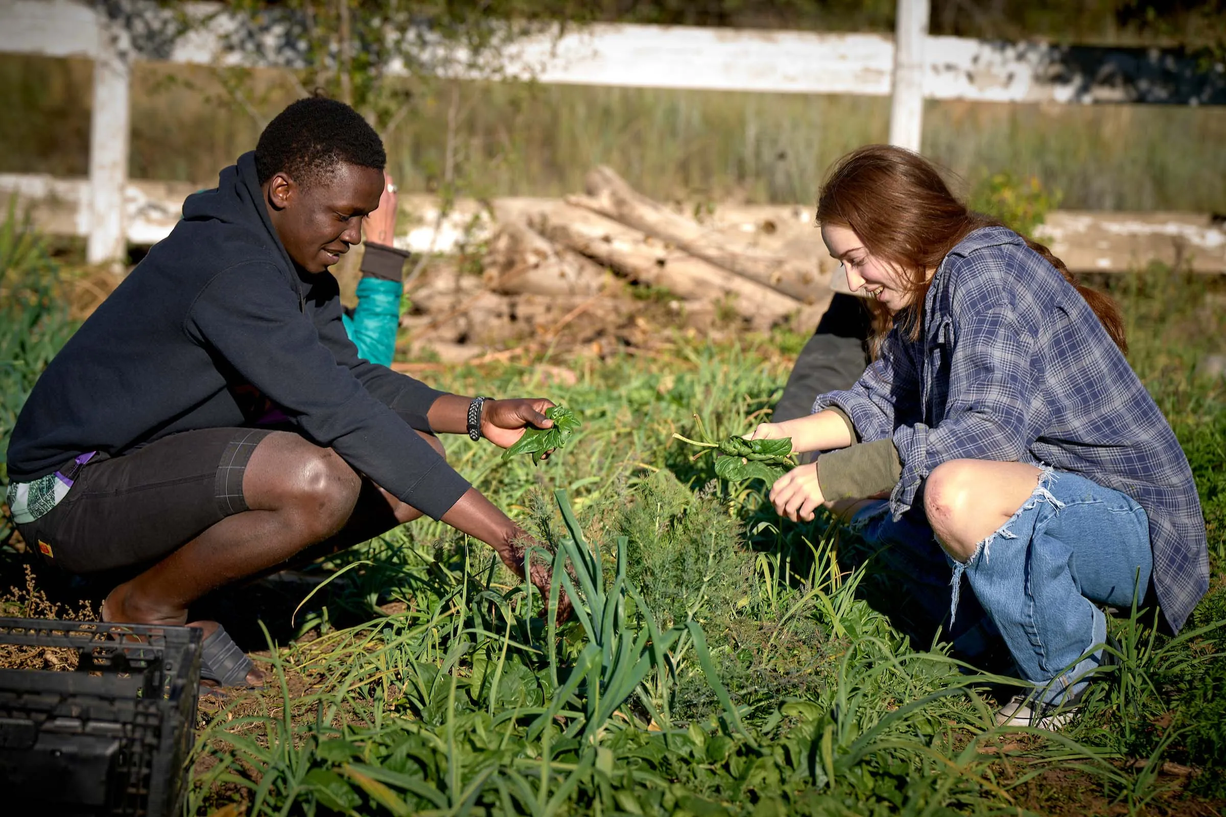 Two diverse students work together on the farm at UWC-USA.