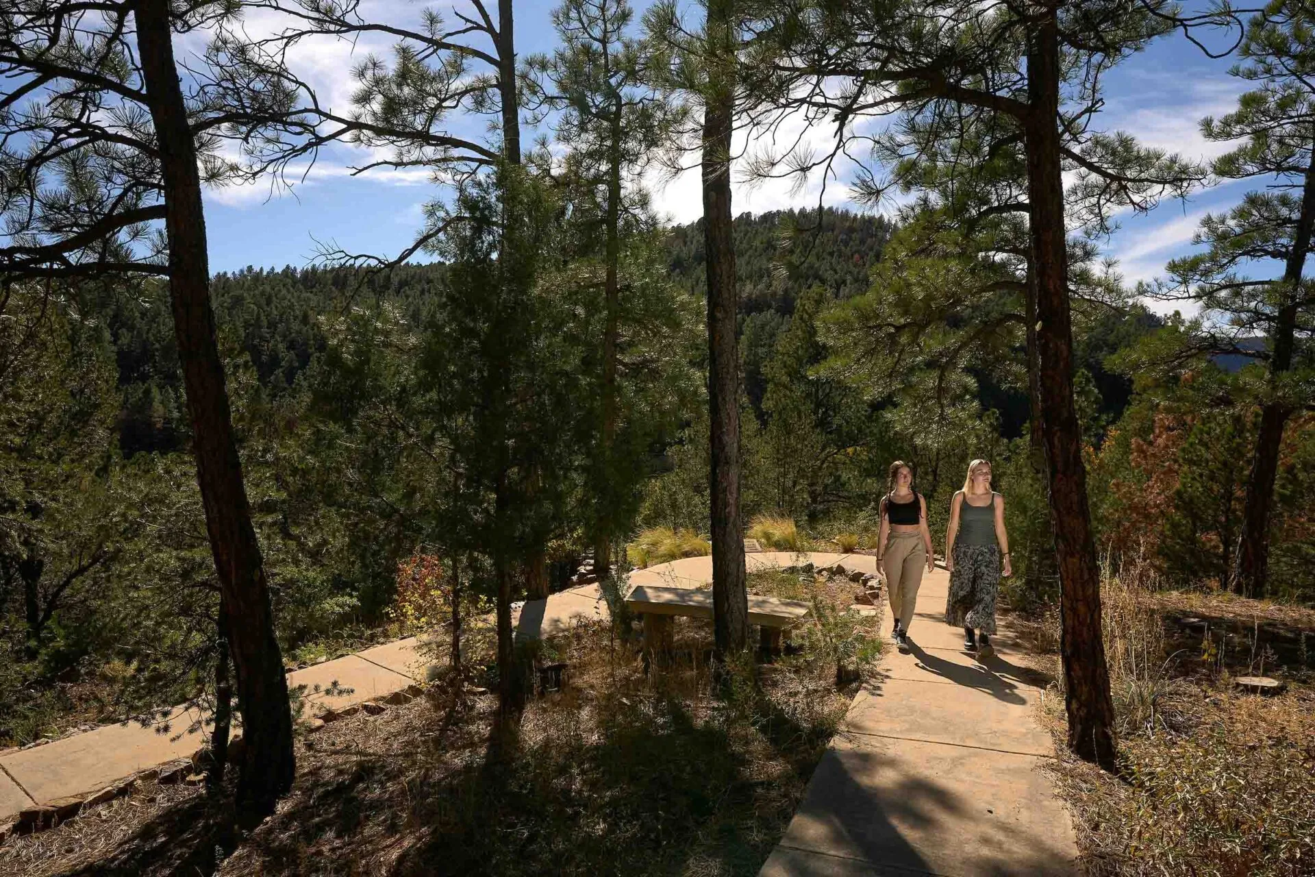 Students from diverse backgrounds explore the campus wilderness trail, fostering community and reflection in nature.